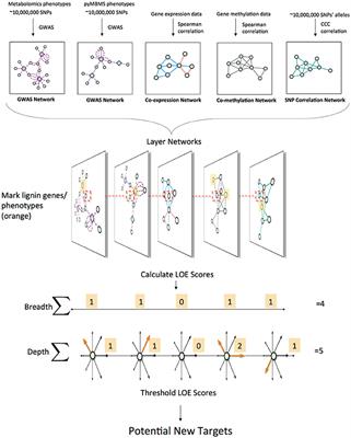 Pleiotropic and Epistatic Network-Based Discovery: Integrated Networks for Target Gene Discovery